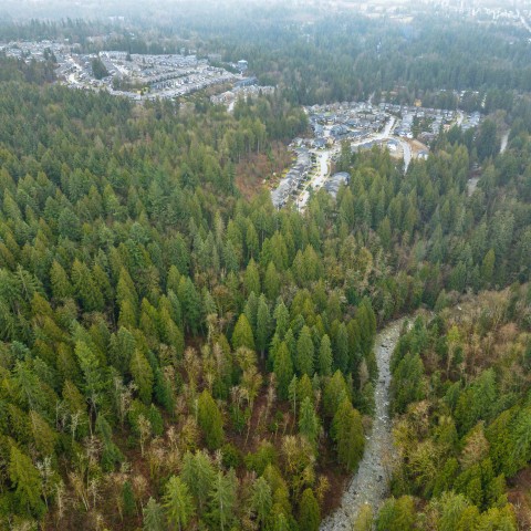 Photo 19 at 13800 236 Street, Silver Valley, Maple Ridge Photo 19 at 13800 236 Street, Silver Valley, Maple Ridge