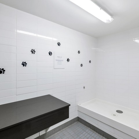 Photo 38 at 135 - 8138 204 Street, Willoughby Heights, Langley Photo 38 at 135 - 8138 204 Street, Willoughby Heights, Langley