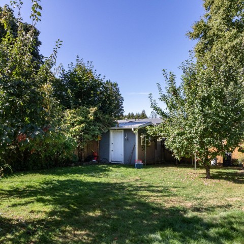 Photo 9 at 11819 230 Street, East Central, Maple Ridge Photo 9 at 11819 230 Street, East Central, Maple Ridge
