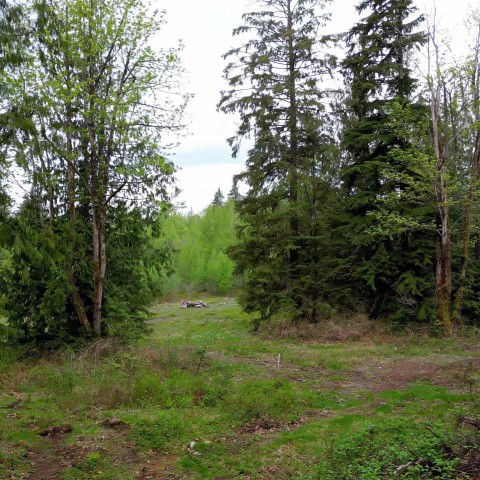 Photo 4 at 10575 287 Street, Whonnock, Maple Ridge Photo 4 at 10575 287 Street, Whonnock, Maple Ridge
