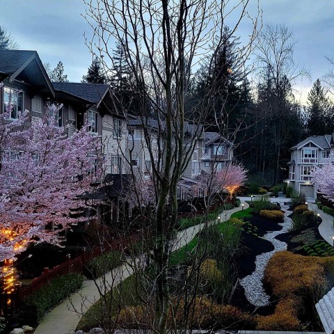 Photo 39 at 13 - 10151 240 Street, Albion, Maple Ridge Photo 39 at 13 - 10151 240 Street, Albion, Maple Ridge