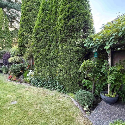 Photo 36 at 5 - 12070 216 Street, West Central, Maple Ridge Photo 36 at 5 - 12070 216 Street, West Central, Maple Ridge