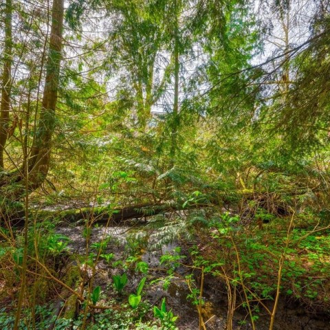 Photo 24 at 6 - 20699 120b Avenue, Northwest Maple Ridge, Maple Ridge Photo 24 at 6 - 20699 120b Avenue, Northwest Maple Ridge, Maple Ridge