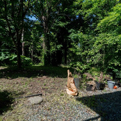 Photo 34 at 9 - 22206 124 Avenue, West Central, Maple Ridge Photo 34 at 9 - 22206 124 Avenue, West Central, Maple Ridge