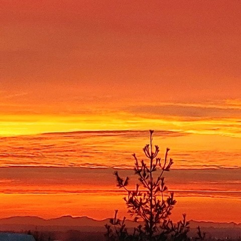 Photo 38 at 17 - 10480 248 Street, Thornhill MR, Maple Ridge Photo 38 at 17 - 10480 248 Street, Thornhill MR, Maple Ridge