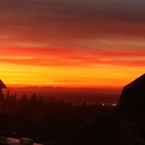 Photo 39 at 17 - 10480 248 Street, Thornhill MR, Maple Ridge Photo 39 at 17 - 10480 248 Street, Thornhill MR, Maple Ridge