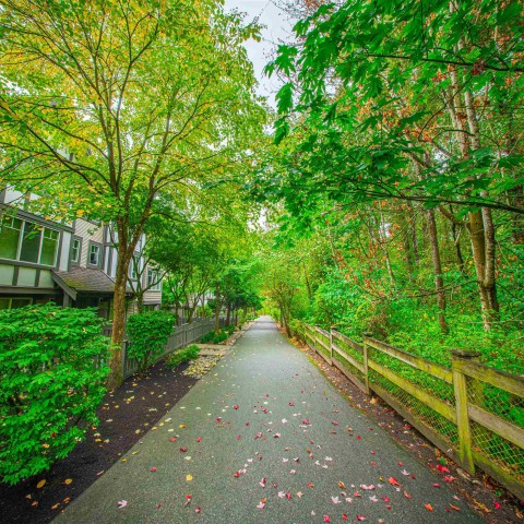 Photo 39 at 41 - 20038 70 Avenue, Willoughby Heights, Langley Photo 39 at 41 - 20038 70 Avenue, Willoughby Heights, Langley