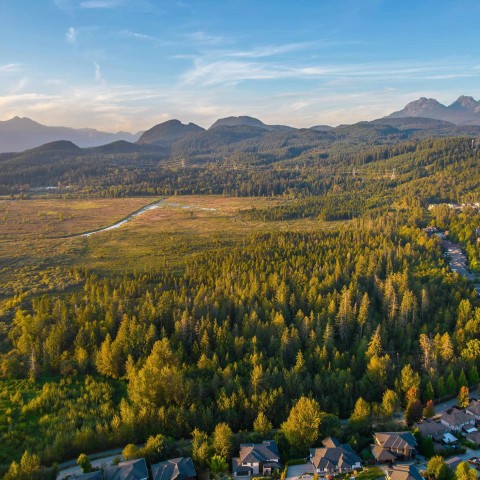 Photo 4 at 13652 228 Street, Silver Valley, Maple Ridge Photo 4 at 13652 228 Street, Silver Valley, Maple Ridge
