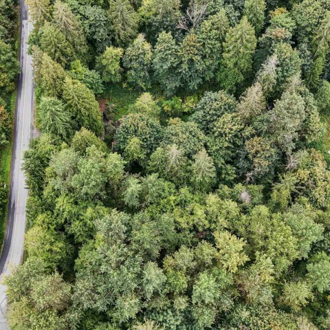 Photo 17 at 10941 249 Street, Thornhill MR, Maple Ridge Photo 17 at 10941 249 Street, Thornhill MR, Maple Ridge