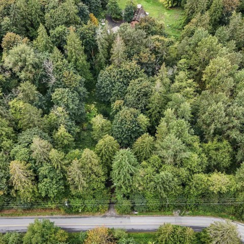 Photo 19 at 10941 249 Street, Thornhill MR, Maple Ridge Photo 19 at 10941 249 Street, Thornhill MR, Maple Ridge