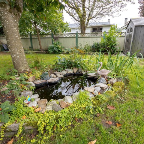 Photo 33 at 11809 230 Street, East Central, Maple Ridge Photo 33 at 11809 230 Street, East Central, Maple Ridge