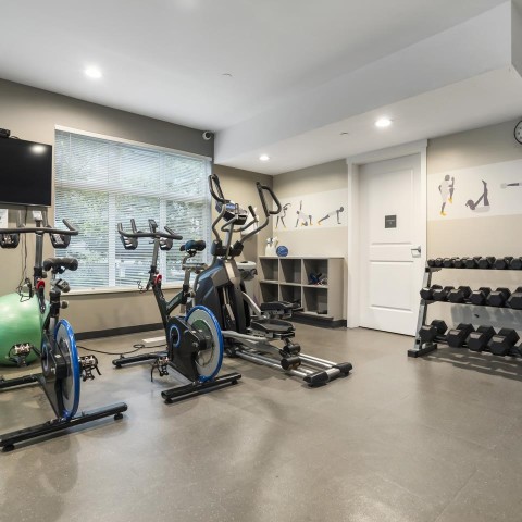 Photo 30 at 71 - 8050 204 Street, Willoughby Heights, Langley Photo 30 at 71 - 8050 204 Street, Willoughby Heights, Langley