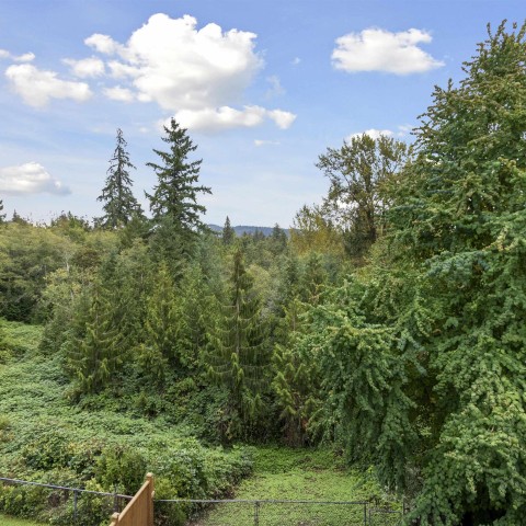 Photo 36 at 11338 240a Street, Cottonwood MR, Maple Ridge Photo 36 at 11338 240a Street, Cottonwood MR, Maple Ridge