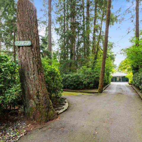 Photo 3 at 21470 124th Avenue, West Central, Maple Ridge Photo 3 at 21470 124th Avenue, West Central, Maple Ridge