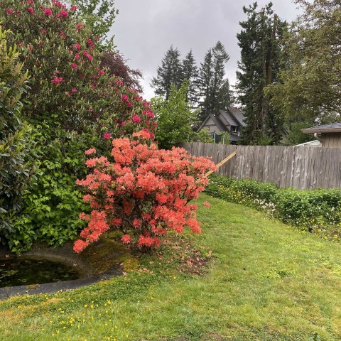 Photo 6 at 12213 218 Street, West Central, Maple Ridge Photo 6 at 12213 218 Street, West Central, Maple Ridge