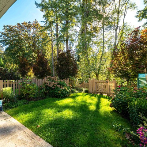 Photo 32 at 66 - 24108 104 Avenue, Albion, Maple Ridge Photo 32 at 66 - 24108 104 Avenue, Albion, Maple Ridge
