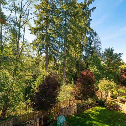 Photo 9 at 66 - 24108 104 Avenue, Albion, Maple Ridge Photo 9 at 66 - 24108 104 Avenue, Albion, Maple Ridge