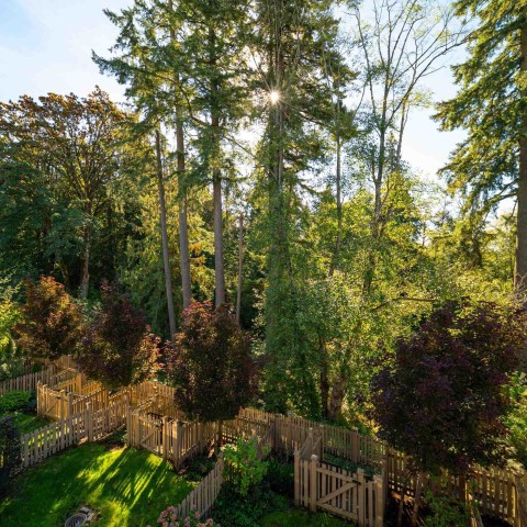 Photo 8 at 66 - 24108 104 Avenue, Albion, Maple Ridge Photo 8 at 66 - 24108 104 Avenue, Albion, Maple Ridge