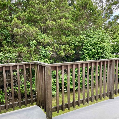 Photo 5 at 21854 Lougheed Highway, West Central, Maple Ridge Photo 5 at 21854 Lougheed Highway, West Central, Maple Ridge