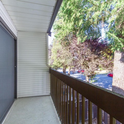 Photo 15 at 22180 122 Avenue, West Central, Maple Ridge Photo 15 at 22180 122 Avenue, West Central, Maple Ridge