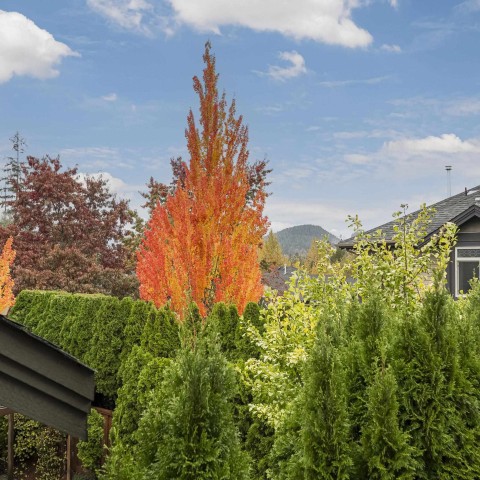 Photo 36 at 22835 Docksteader Circle, Silver Valley, Maple Ridge Photo 36 at 22835 Docksteader Circle, Silver Valley, Maple Ridge