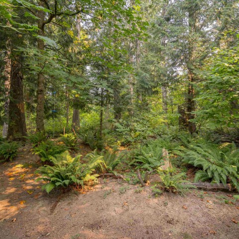 Photo 38 at 10676 245b Street, Albion, Maple Ridge Photo 38 at 10676 245b Street, Albion, Maple Ridge