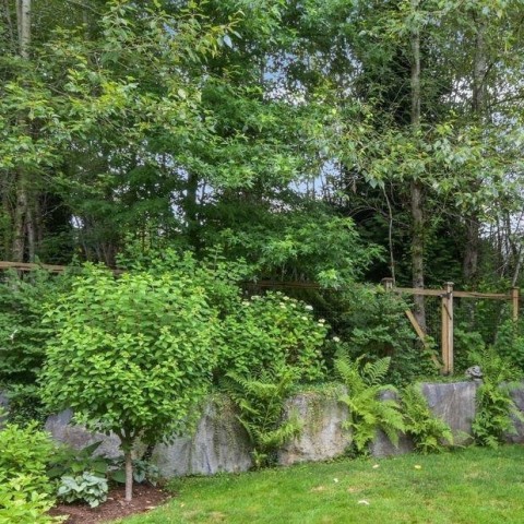 Photo 33 at 22975 134 Loop, Silver Valley, Maple Ridge Photo 33 at 22975 134 Loop, Silver Valley, Maple Ridge