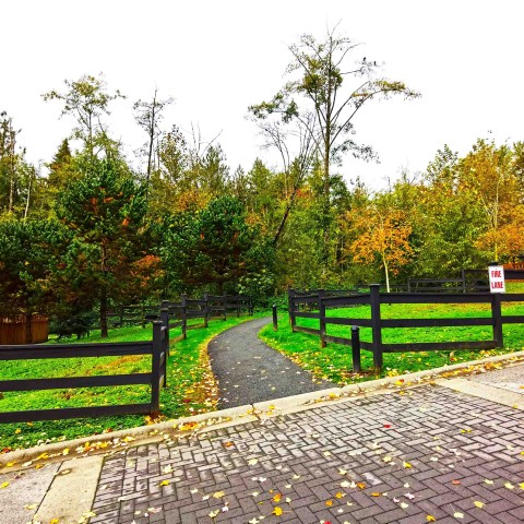 Photo 25 at 74 - 11305 240 Street, Cottonwood MR, Maple Ridge Photo 25 at 74 - 11305 240 Street, Cottonwood MR, Maple Ridge